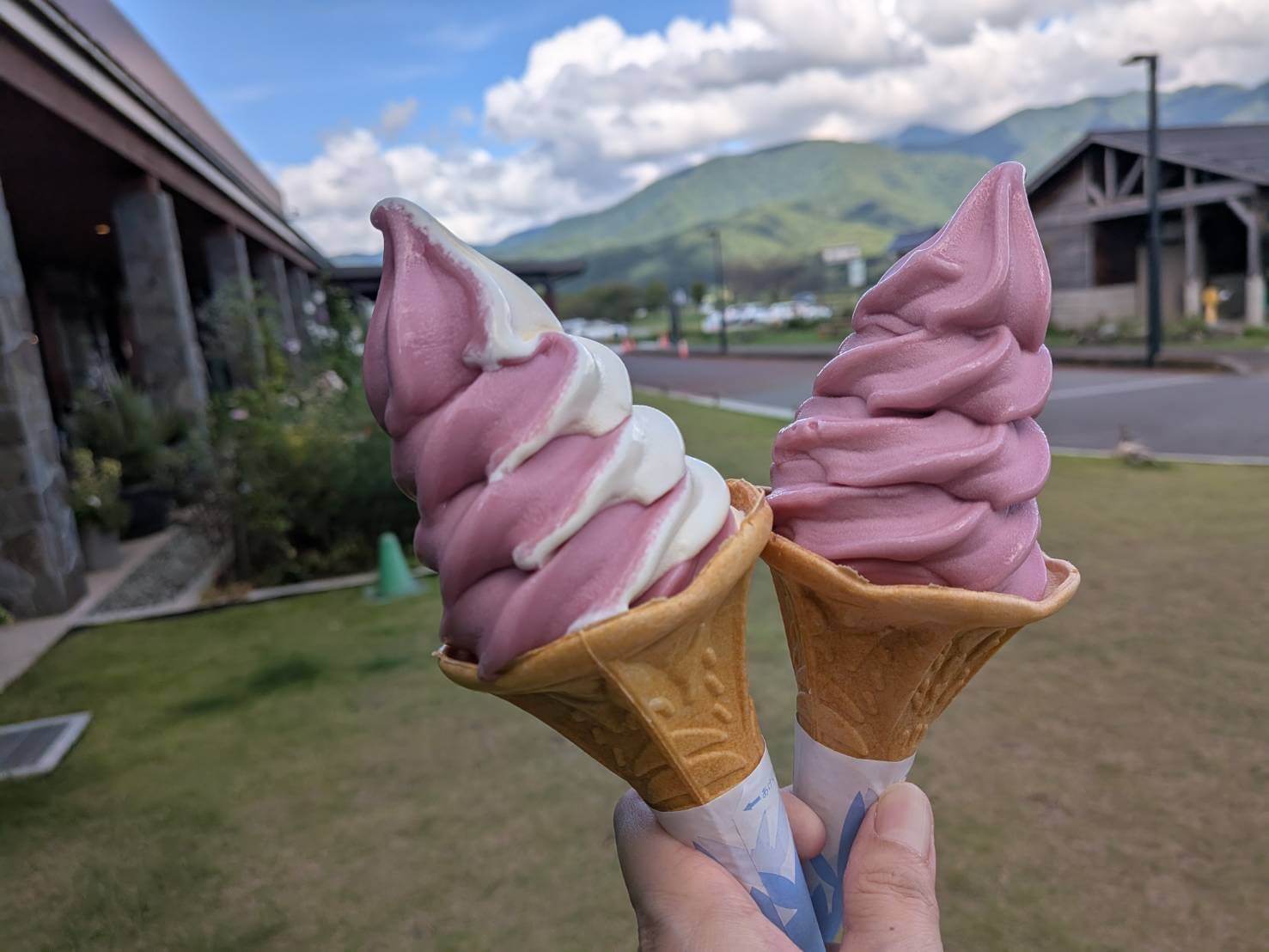 ソフトクリーム<br />
プレミアム巨峰<br />
プレミアム巨峰ミックス
